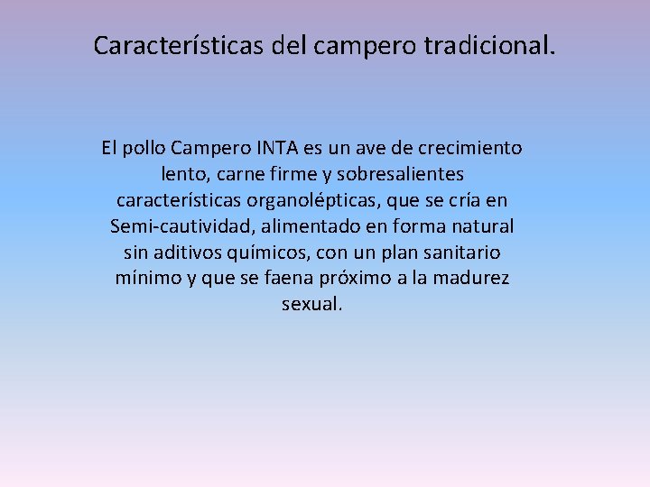 Características del campero tradicional. El pollo Campero INTA es un ave de crecimiento lento,