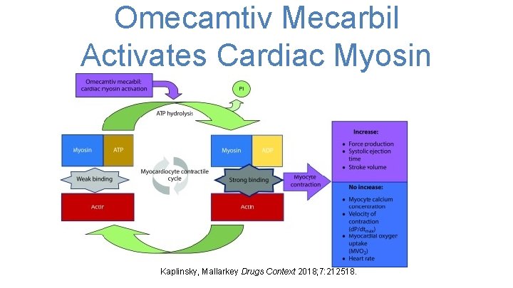 Omecamtiv Mecarbil Activates Cardiac Myosin Kaplinsky, Mallarkey Drugs Context 2018; 7: 212518. 