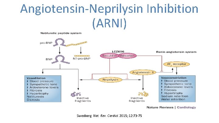 Angiotensin-Neprilysin Inhibition (ARNI) Death from CV causes or Hosp for HF Swedberg Nat. Rev.