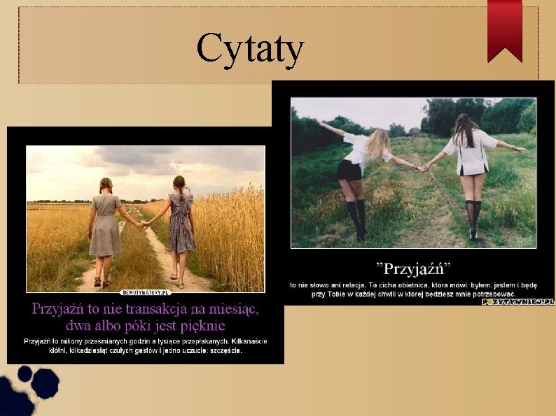 Cytaty 