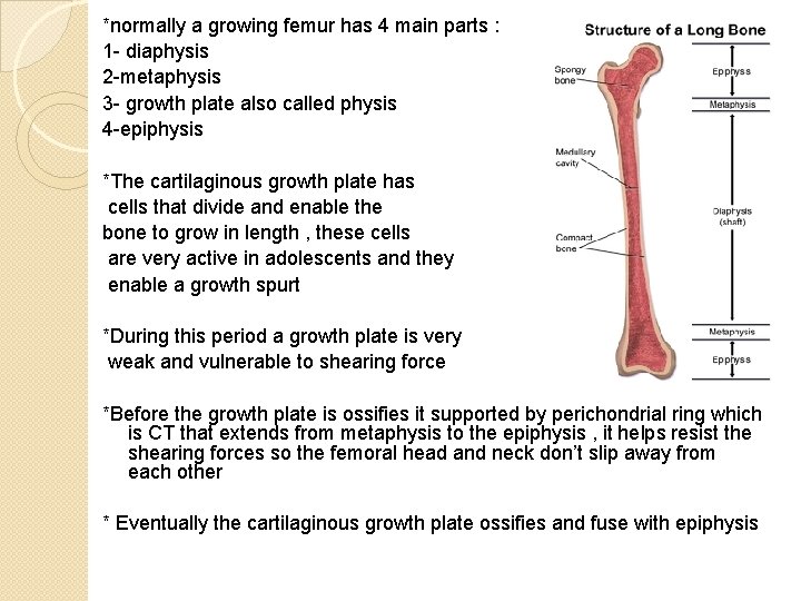 *normally a growing femur has 4 main parts : 1 - diaphysis 2 -metaphysis