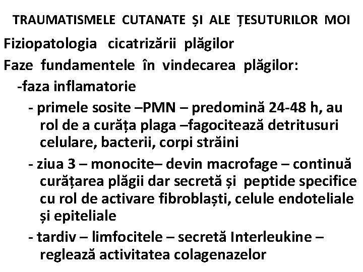 TRAUMATISMELE CUTANATE ȘI ALE ȚESUTURILOR MOI Fiziopatologia cicatrizării plăgilor Faze fundamentele în vindecarea plăgilor: