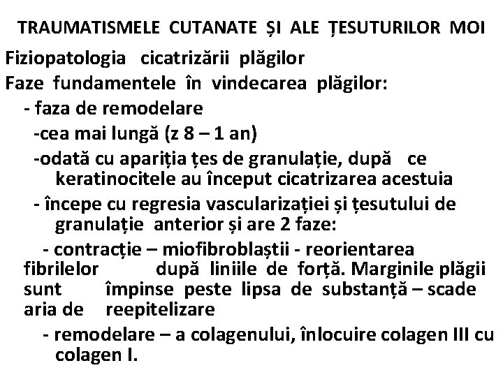 TRAUMATISMELE CUTANATE ȘI ALE ȚESUTURILOR MOI Fiziopatologia cicatrizării plăgilor Faze fundamentele în vindecarea plăgilor: