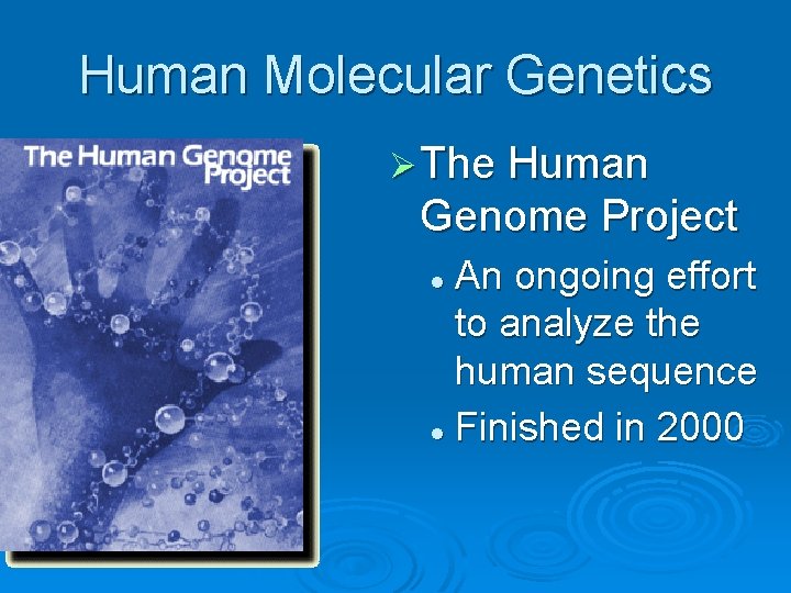 Human Molecular Genetics Ø The Human Genome Project An ongoing effort to analyze the