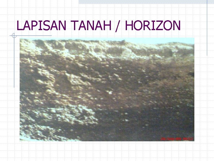 LAPISAN TANAH / HORIZON 