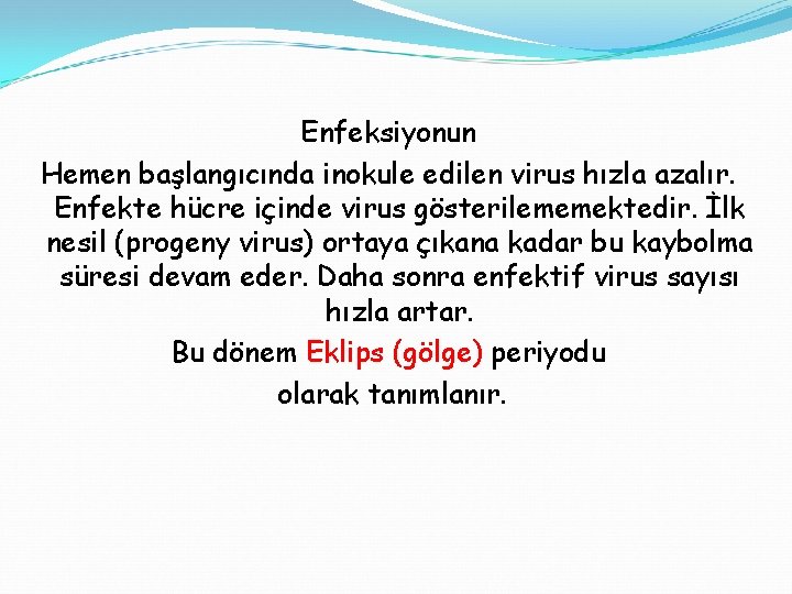 Enfeksiyonun Hemen başlangıcında inokule edilen virus hızla azalır. Enfekte hücre içinde virus gösterilememektedir. İlk