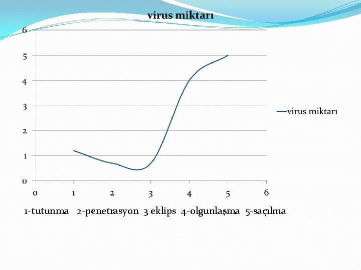 1 -tutunma 2 -penetrasyon 3 eklips 4 -olgunlaşma 5 -saçılma 