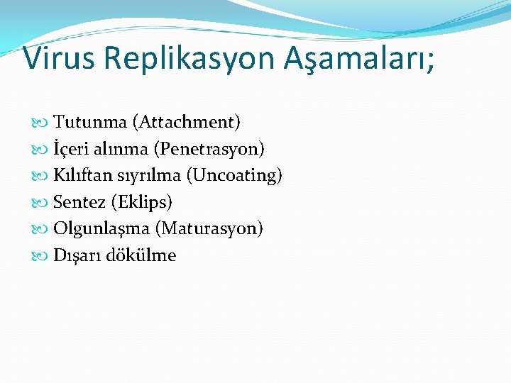 Virus Replikasyon Aşamaları; Tutunma (Attachment) İçeri alınma (Penetrasyon) Kılıftan sıyrılma (Uncoating) Sentez (Eklips) Olgunlaşma