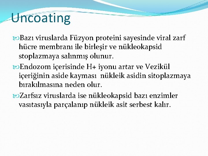 Uncoating Bazı viruslarda Füzyon proteini sayesinde viral zarf hücre membranı ile birleşir ve nükleokapsid