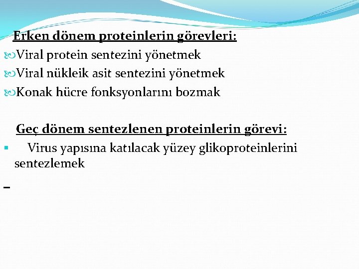 Erken dönem proteinlerin görevleri: Viral protein sentezini yönetmek Viral nükleik asit sentezini yönetmek Konak