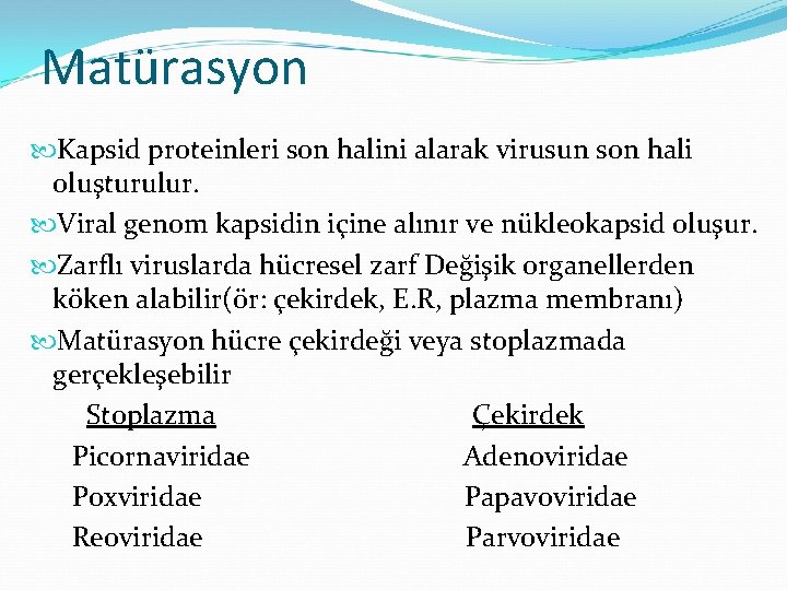 Matürasyon Kapsid proteinleri son halini alarak virusun son hali oluşturulur. Viral genom kapsidin içine