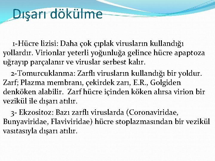 Dışarı dökülme 1 -Hücre lizisi: Daha çok çıplak virusların kullandığı yollardır. Virionlar yeterli yoğunluğa
