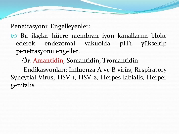 Penetrasyonu Engelleyenler: Bu ilaçlar hücre membran iyon kanallarını bloke ederek endezomal vakuolda p. H’ı