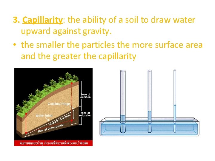 3. Capillarity: the ability of a soil to draw water upward against gravity. •
