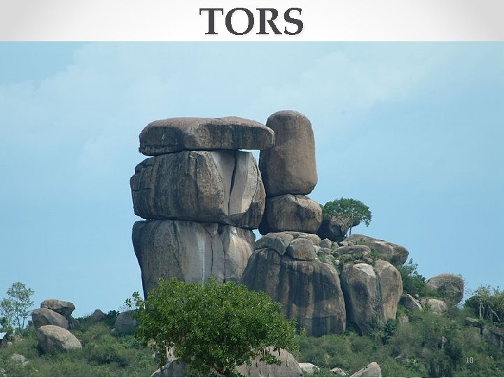 TORS 10 