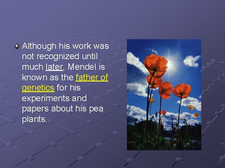 Although his work was not recognized until much later, Mendel is known as the Although his work was not recognized until much later, Mendel is known as the