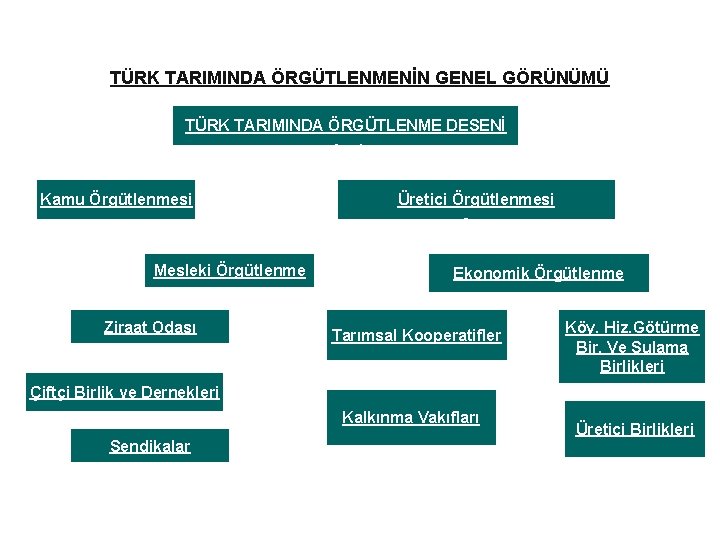 TÜRK TARIMINDA ÖRGÜTLENMENİN GENEL GÖRÜNÜMÜ TÜRK TARIMINDA ÖRGÜTLENME DESENİ Kamu Örgütlenmesi Mesleki Örgütlenme Ziraat