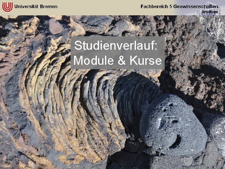 Studienverlauf: Module & Kurse 