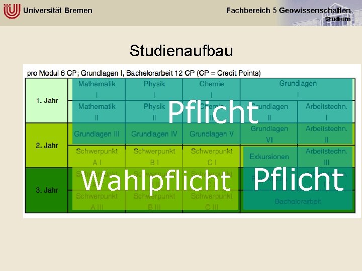 Studienaufbau Pflicht Wahlpflicht Pflicht 