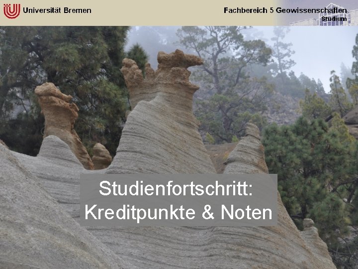 Studienfortschritt: Kreditpunkte & Noten 