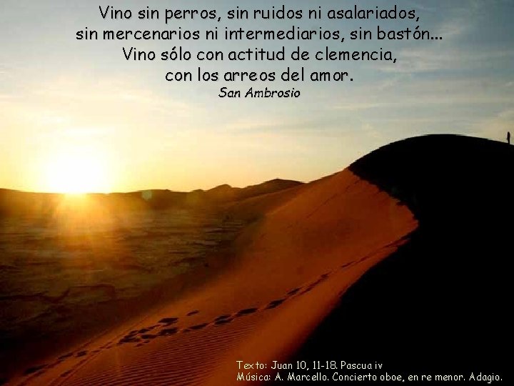 Vino sin perros, sin ruidos ni asalariados, sin mercenarios ni intermediarios, sin bastón. .