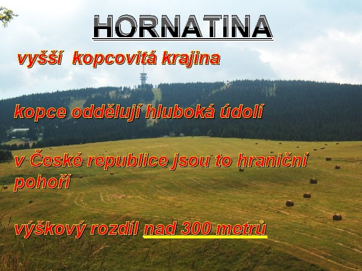 HORNATINA vyšší kopcovitá krajina kopce oddělují hluboká údolí v České republice jsou to hraniční HORNATINA vyšší kopcovitá krajina kopce oddělují hluboká údolí v České republice jsou to hraniční