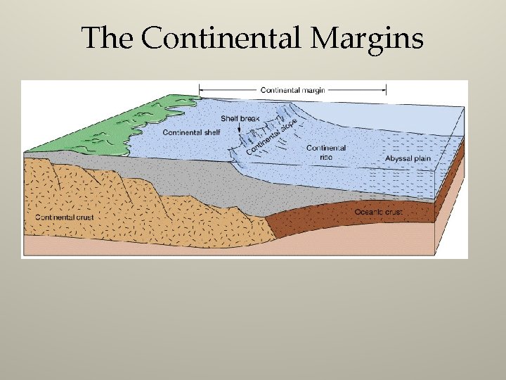 The Continental Margins 