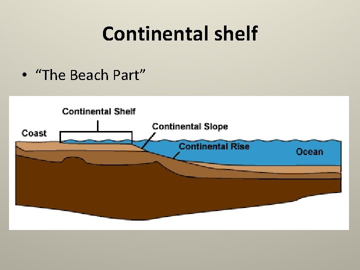 Continental shelf • “The Beach Part” 