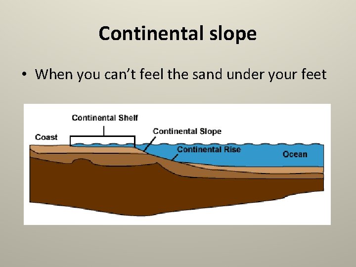 Continental slope • When you can’t feel the sand under your feet 