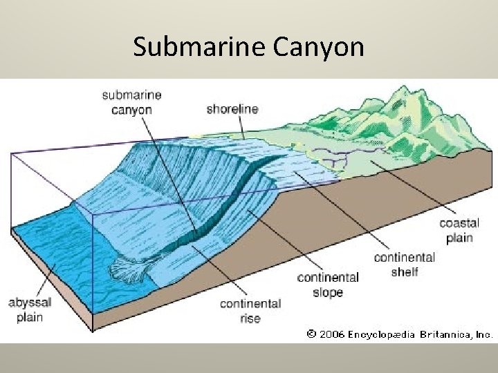 Submarine Canyon 