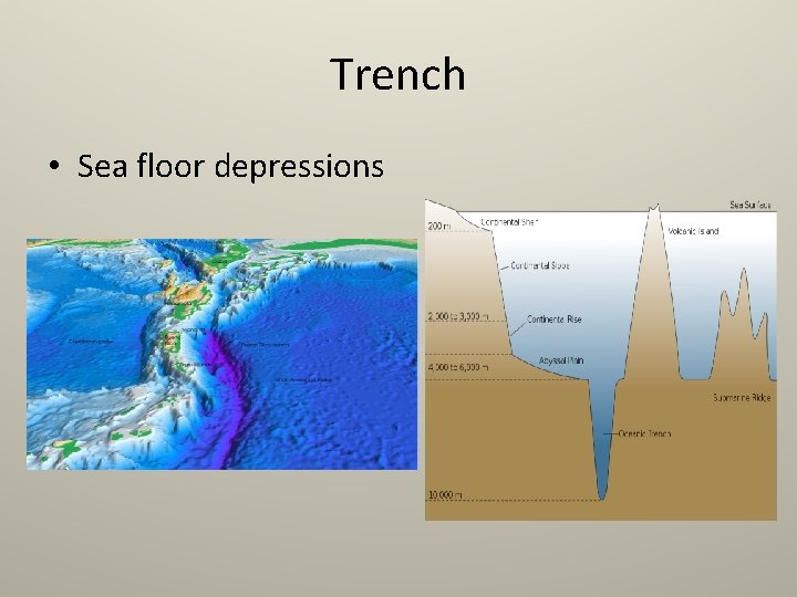 Trench • Sea floor depressions 