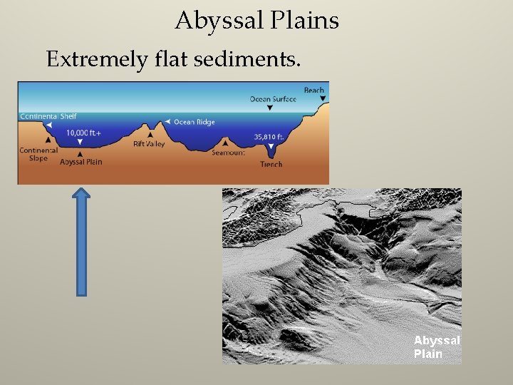 Abyssal Plains Extremely flat sediments. 