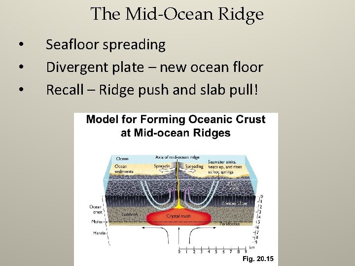The Mid-Ocean Ridge • • • Seafloor spreading Divergent plate – new ocean floor