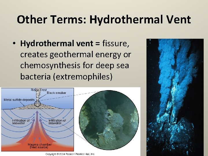 Other Terms: Hydrothermal Vent • Hydrothermal vent = fissure, creates geothermal energy or chemosynthesis