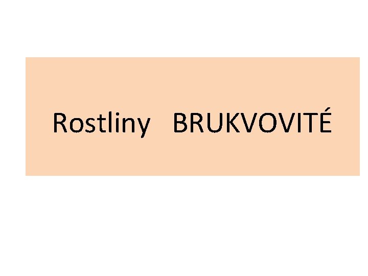 Rostliny BRUKVOVITÉ 