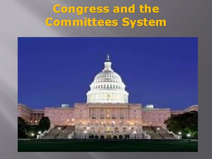 Congress and the Committees System 