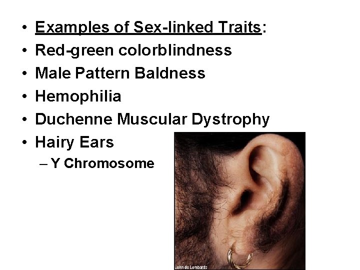  • • • Examples of Sex-linked Traits: Red-green colorblindness Male Pattern Baldness Hemophilia