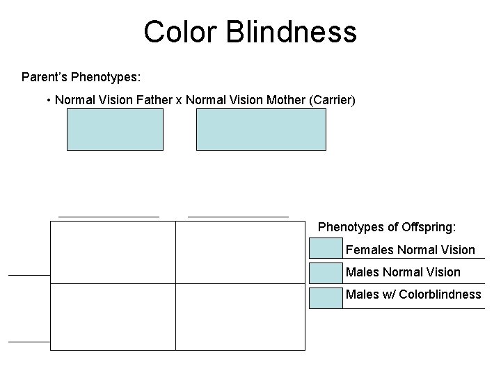 Color Blindness Parent’s Phenotypes: • Normal Vision Father x Normal Vision Mother (Carrier) Phenotypes