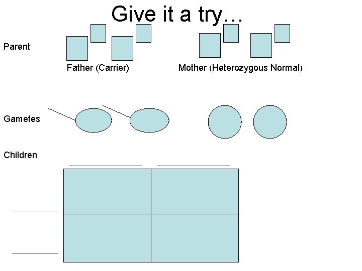 Give it a try… Parent Father (Carrier) Gametes Children Mother (Heterozygous Normal) 