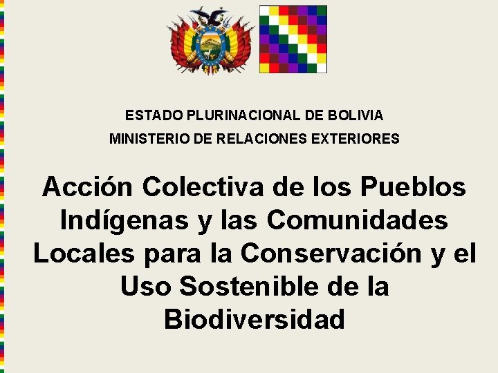 ESTADO PLURINACIONAL DE BOLIVIA MINISTERIO DE RELACIONES EXTERIORES Acción Colectiva de los Pueblos Indígenas