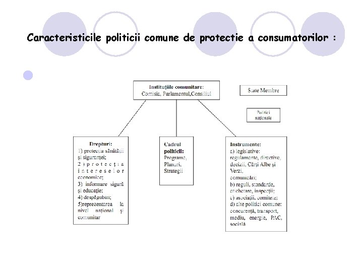 Caracteristicile politicii comune de protectie a consumatorilor : l 