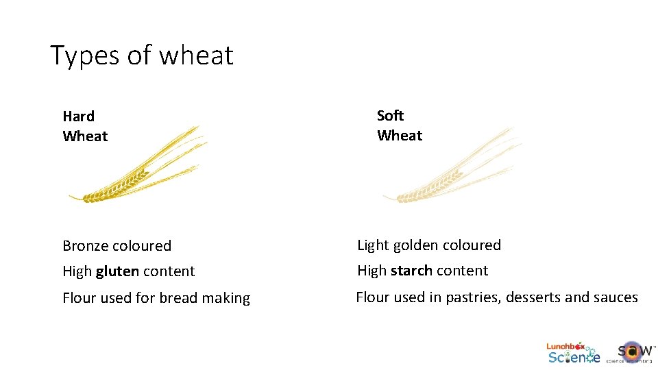 Types of wheat Hard Wheat Soft Wheat Bronze coloured Light golden coloured High gluten