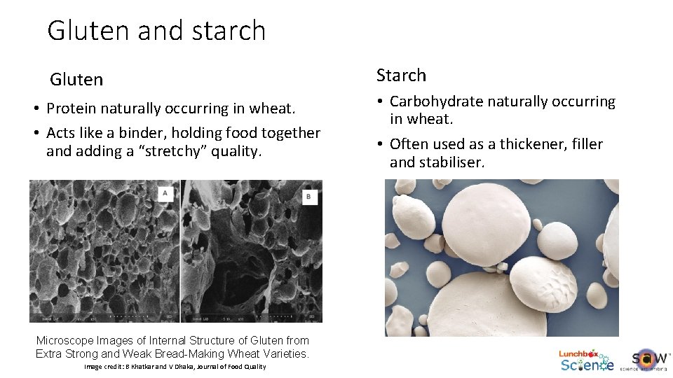 Gluten and starch Gluten • Protein naturally occurring in wheat. • Acts like a