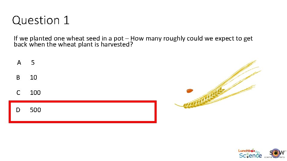 Question 1 If we planted one wheat seed in a pot – How many