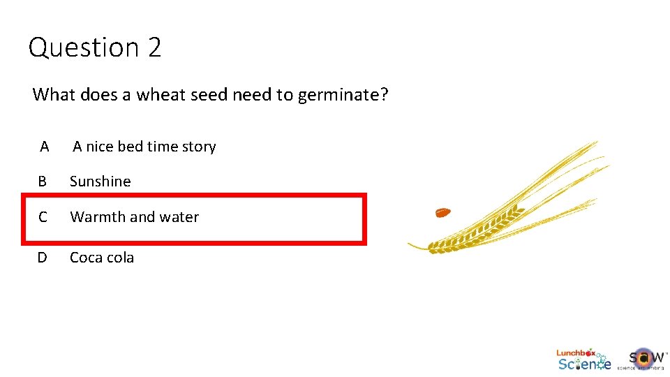 Question 2 What does a wheat seed need to germinate? A A nice bed