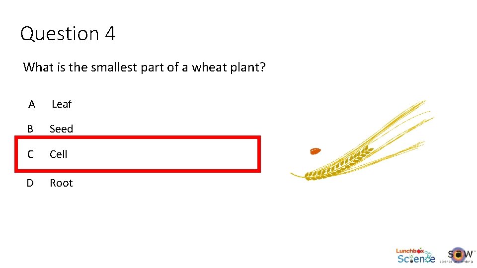 Question 4 What is the smallest part of a wheat plant? A Leaf B