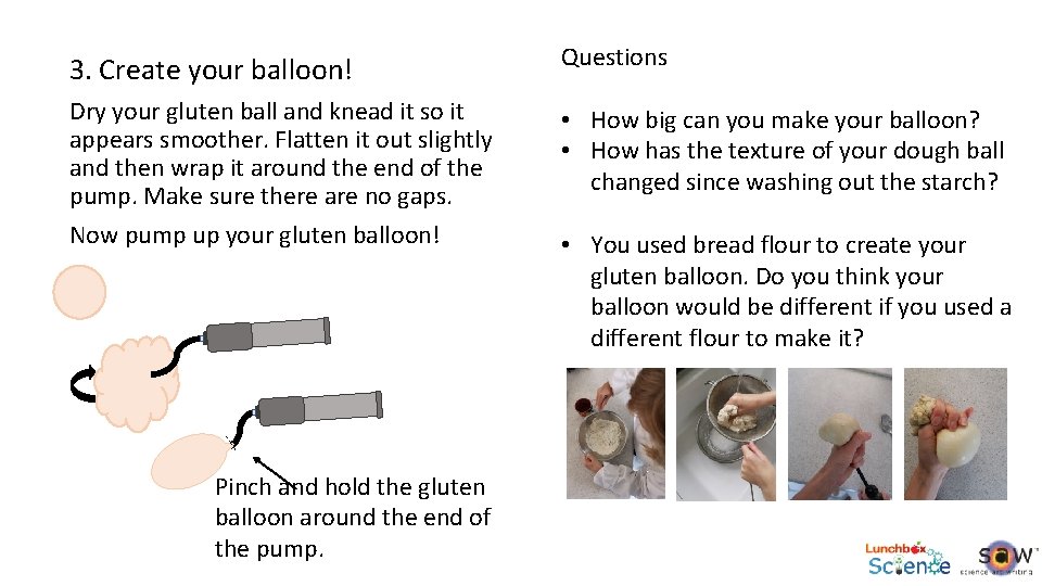 3. Create your balloon! Questions Dry your gluten ball and knead it so it