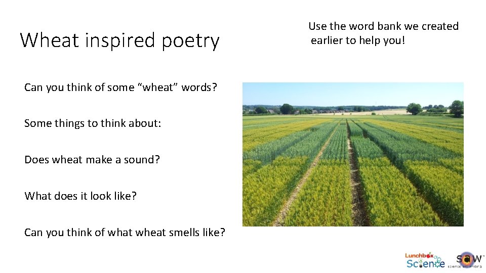 Wheat inspired poetry Can you think of some “wheat” words? Some things to think