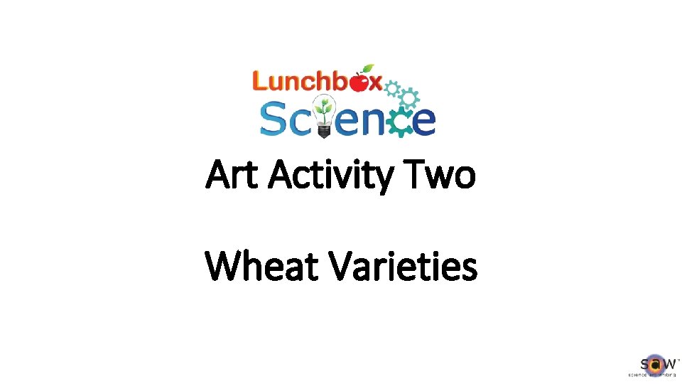 Art Activity Two Wheat Varieties 