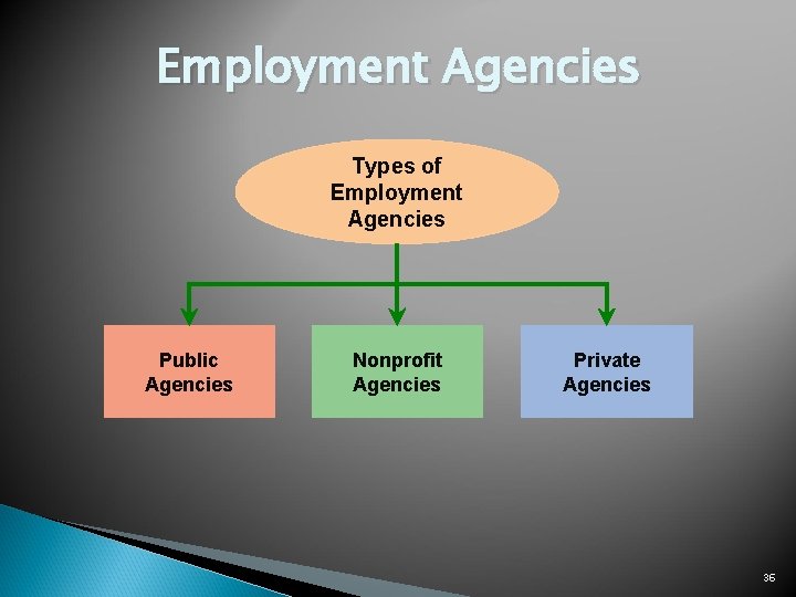 Employment Agencies Types of Employment Agencies Public Agencies Nonprofit Agencies Private Agencies 36 